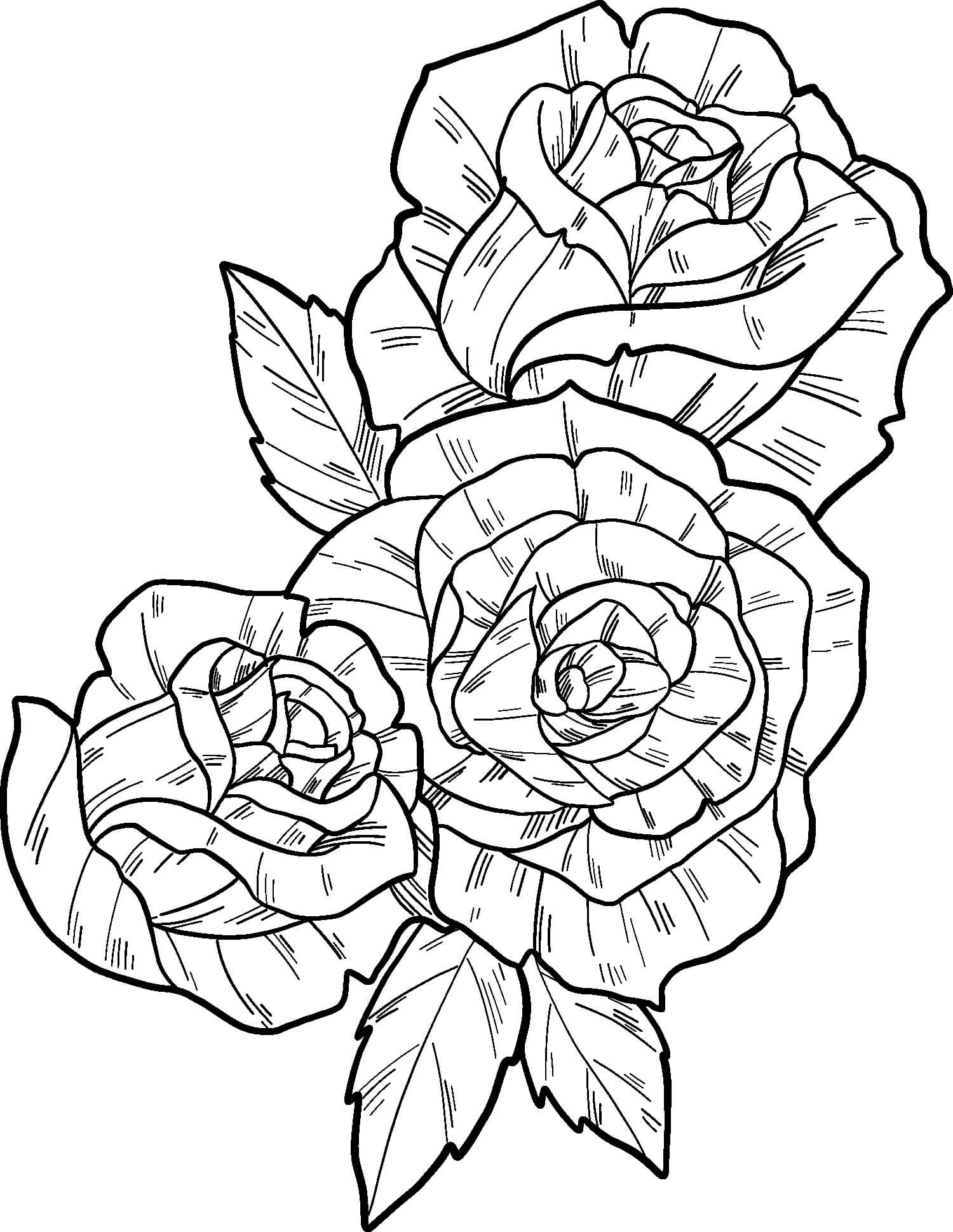 3개의 아름다운 장미 coloring page