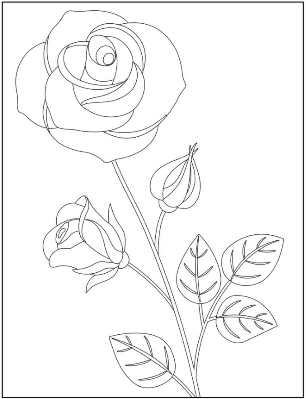 아름다운 장미 가지 coloring page