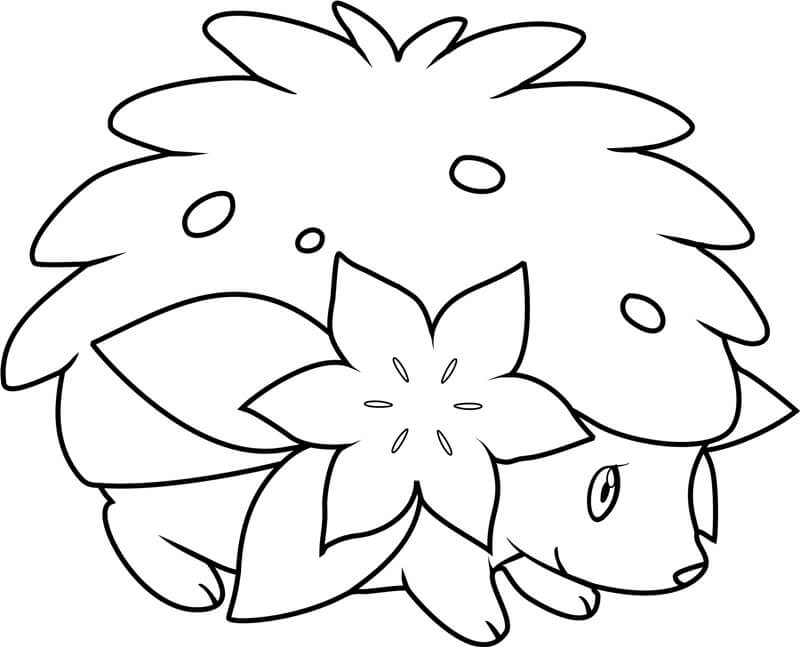 Beautiful Pokemon Shaymin coloring page