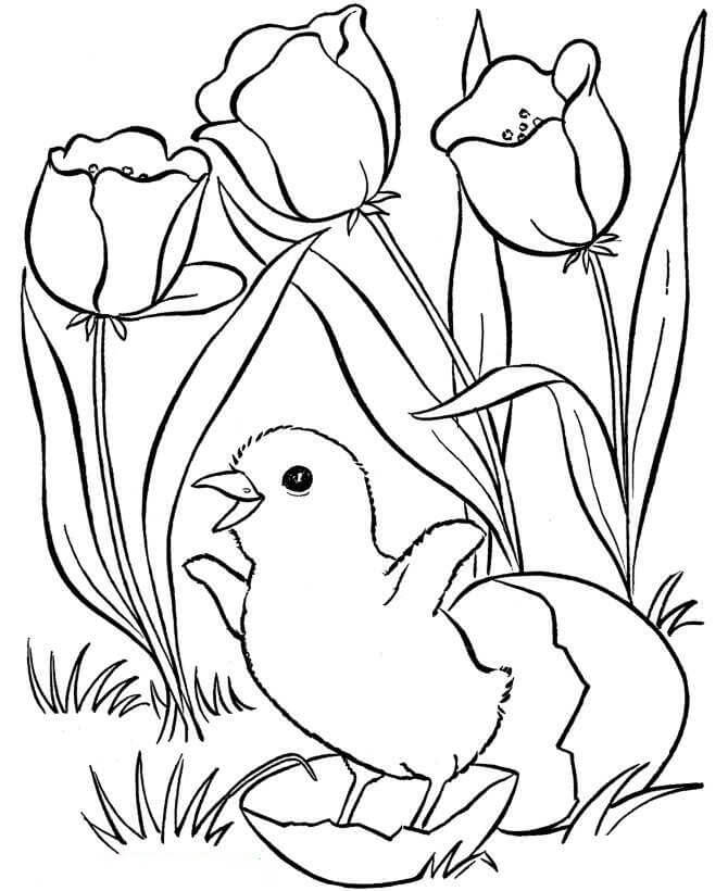 봄의 닭과 꽃 coloring page