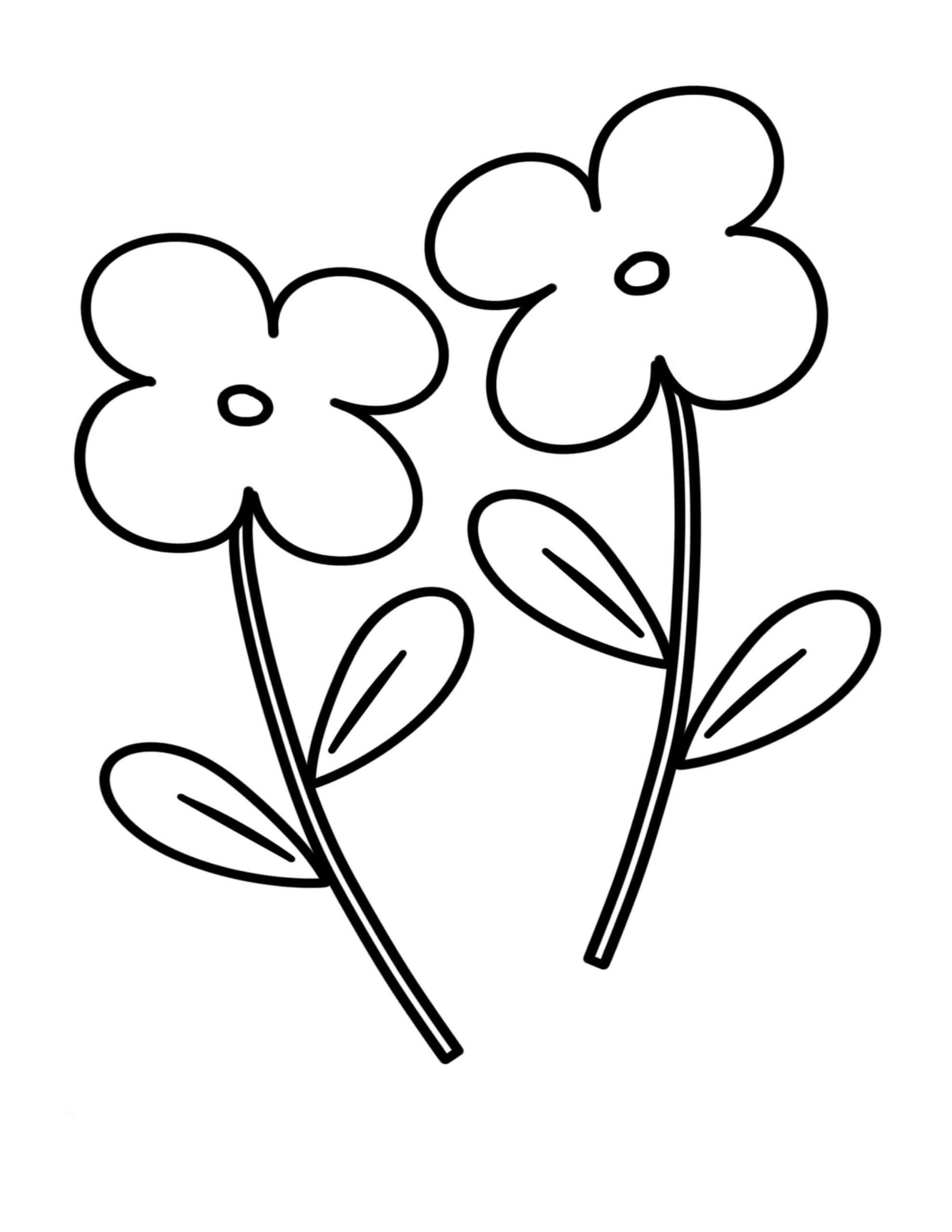 봄의 두 꽃 coloring page