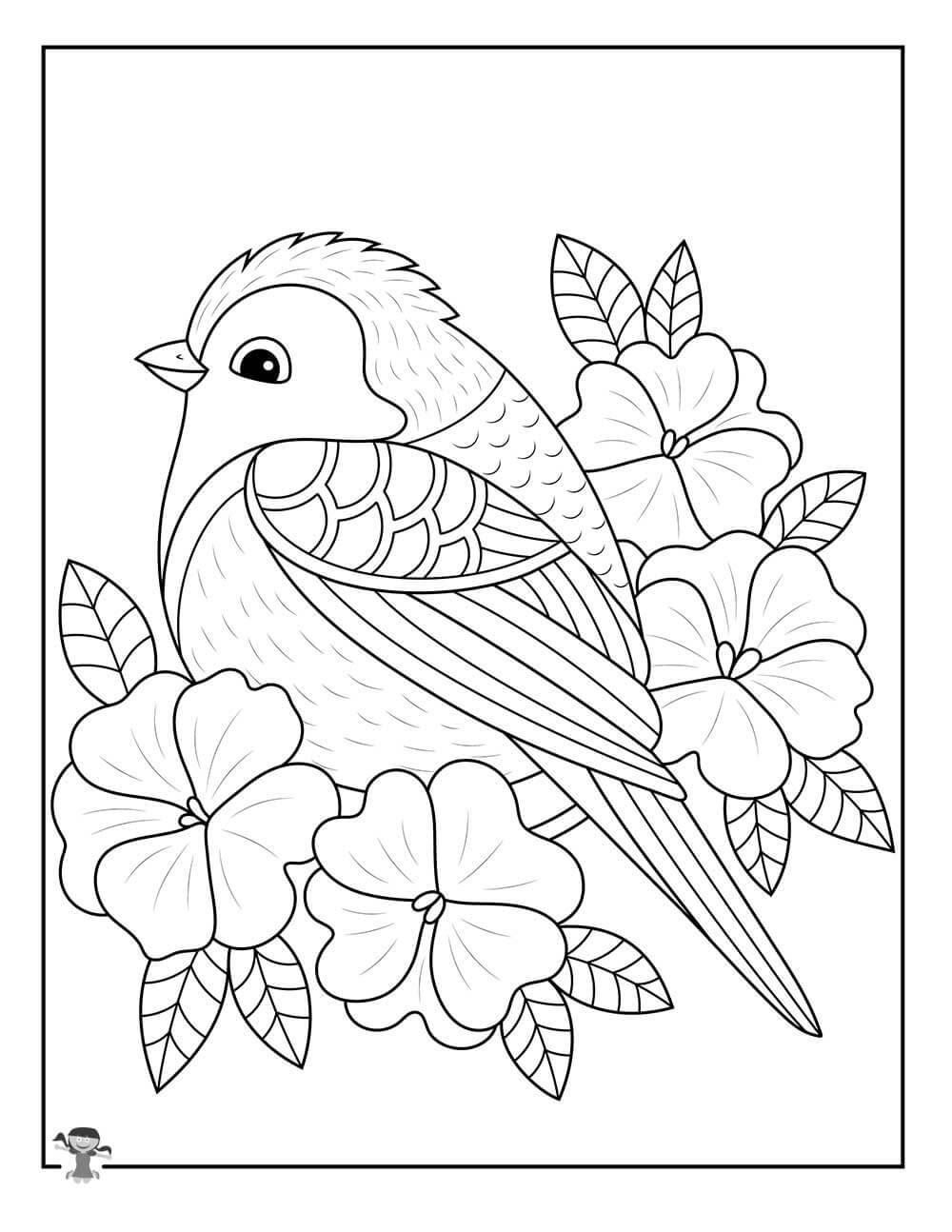 봄의 새와 꽃 coloring page