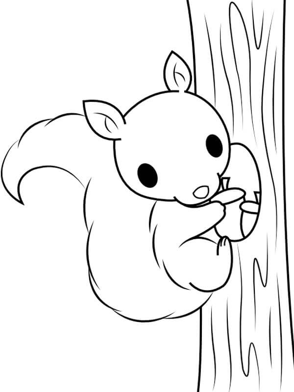 다람쥐 등반 트리 coloring page