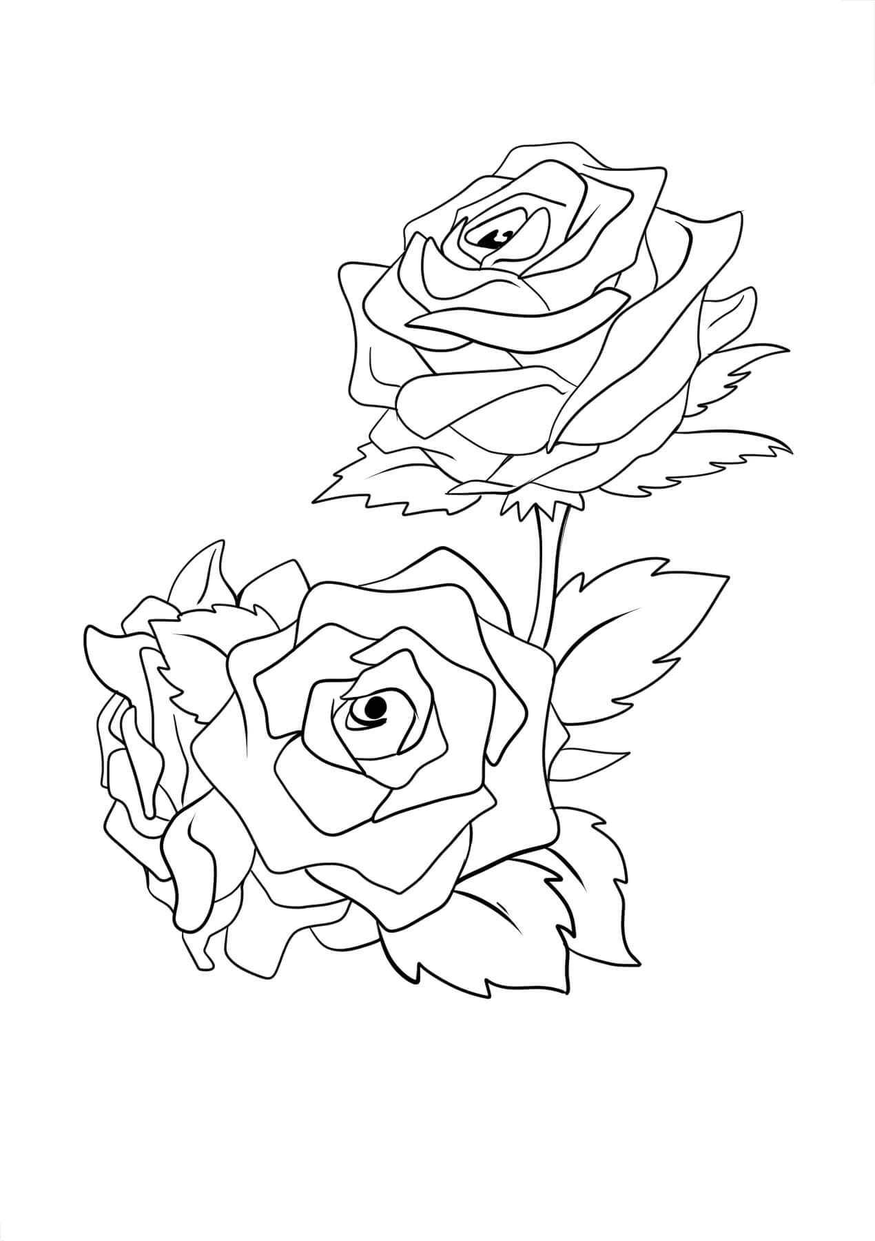 어메이징 로즈 coloring page
