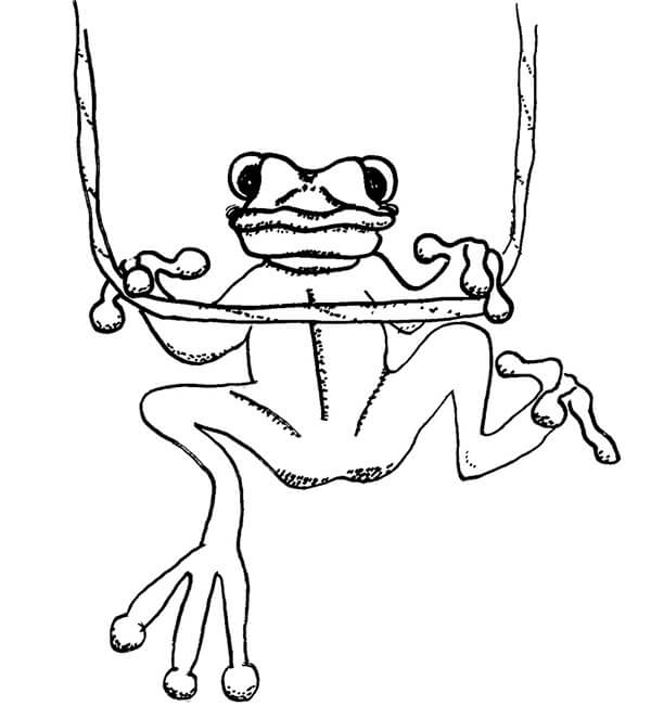 개구리 등반 coloring page