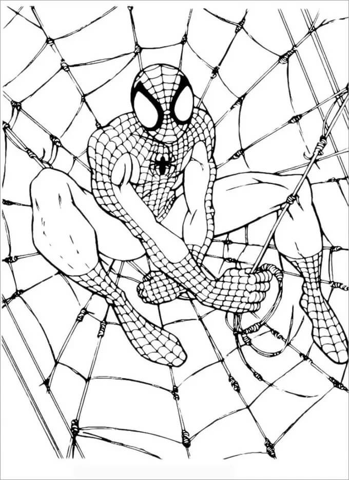 거미줄에 앉아있는 스파이더맨