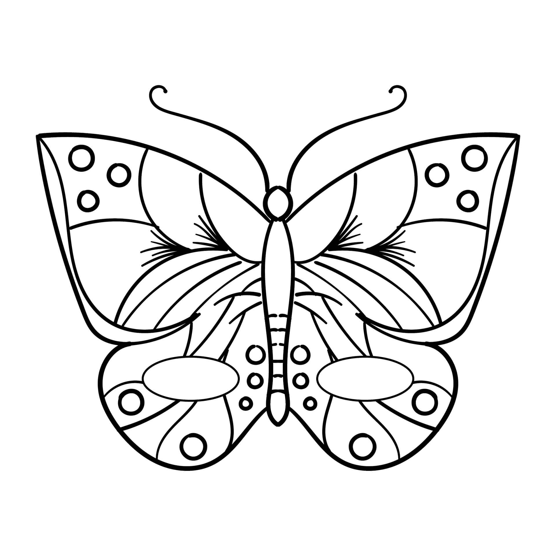 기본 나비 마스크 coloring page