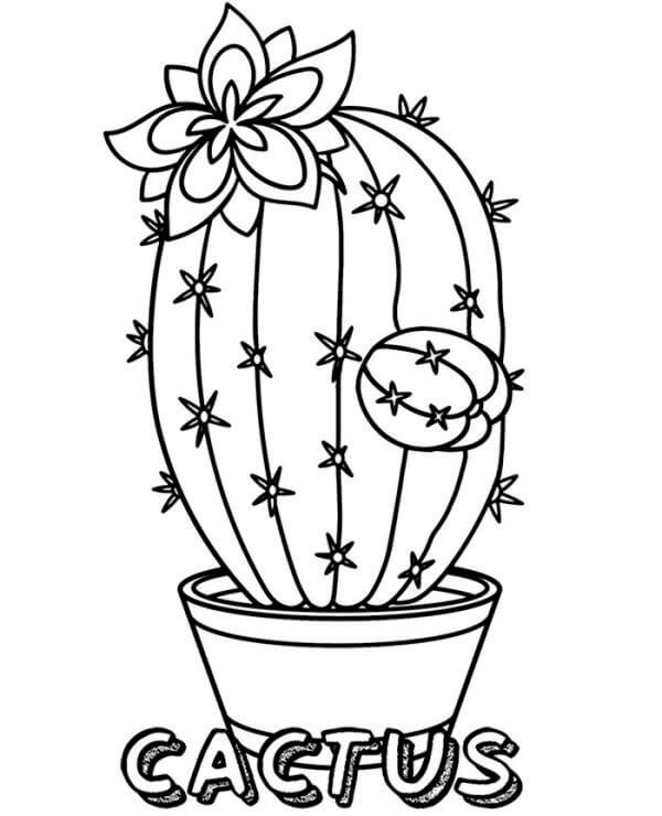 기본 선인장 coloring page