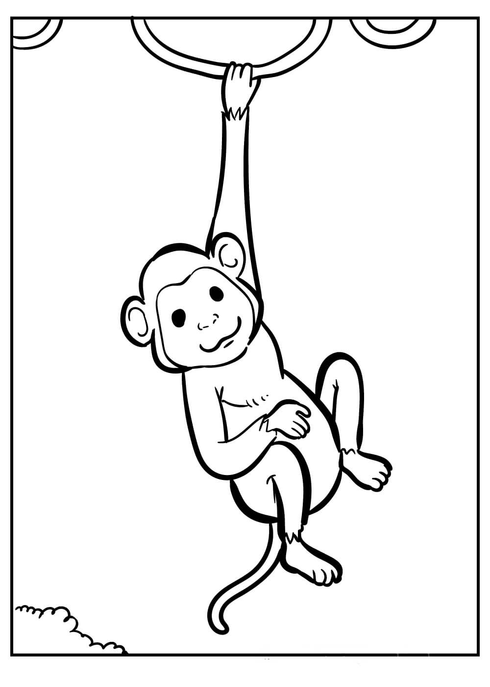 기본 원숭이 등반 로프 coloring page