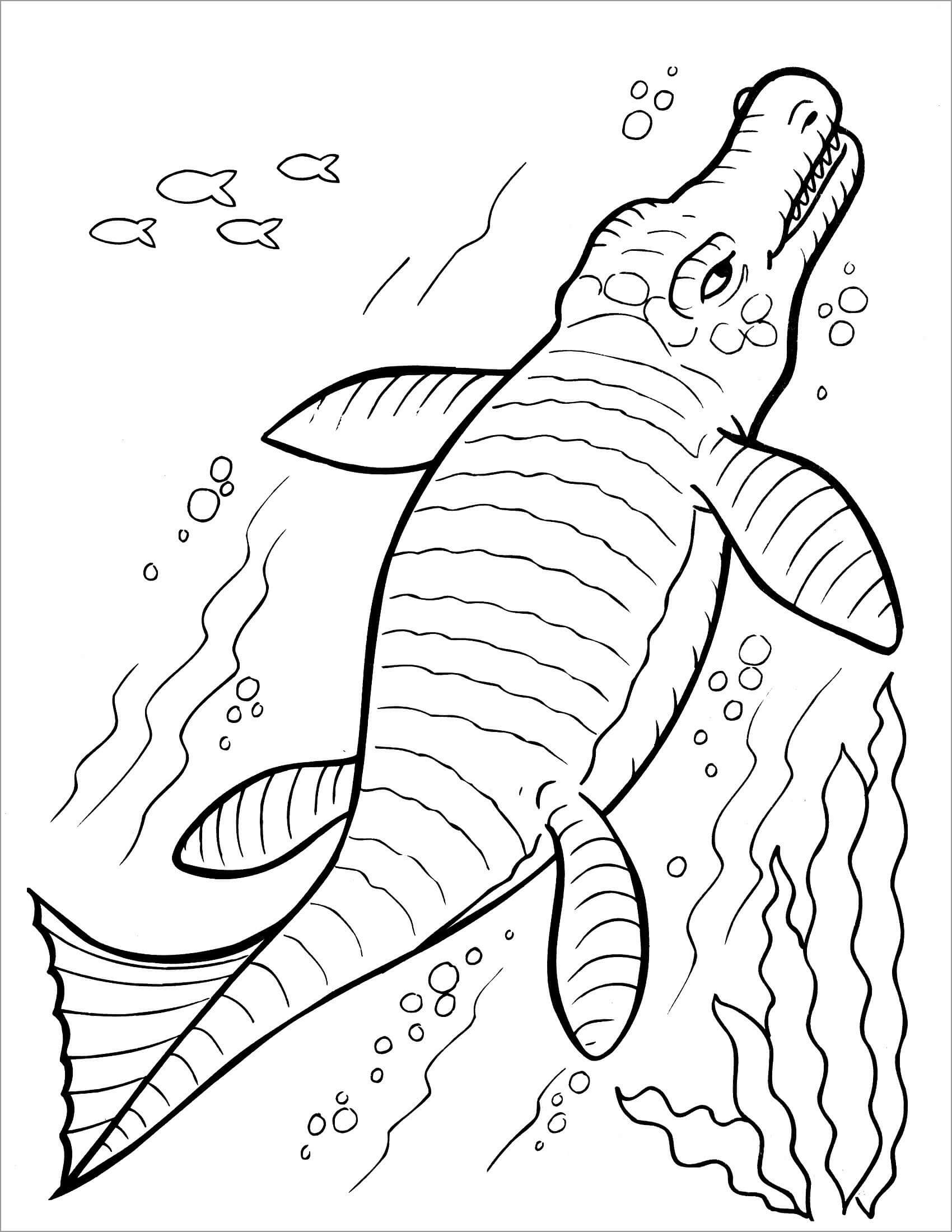 공룡 수영 coloring page