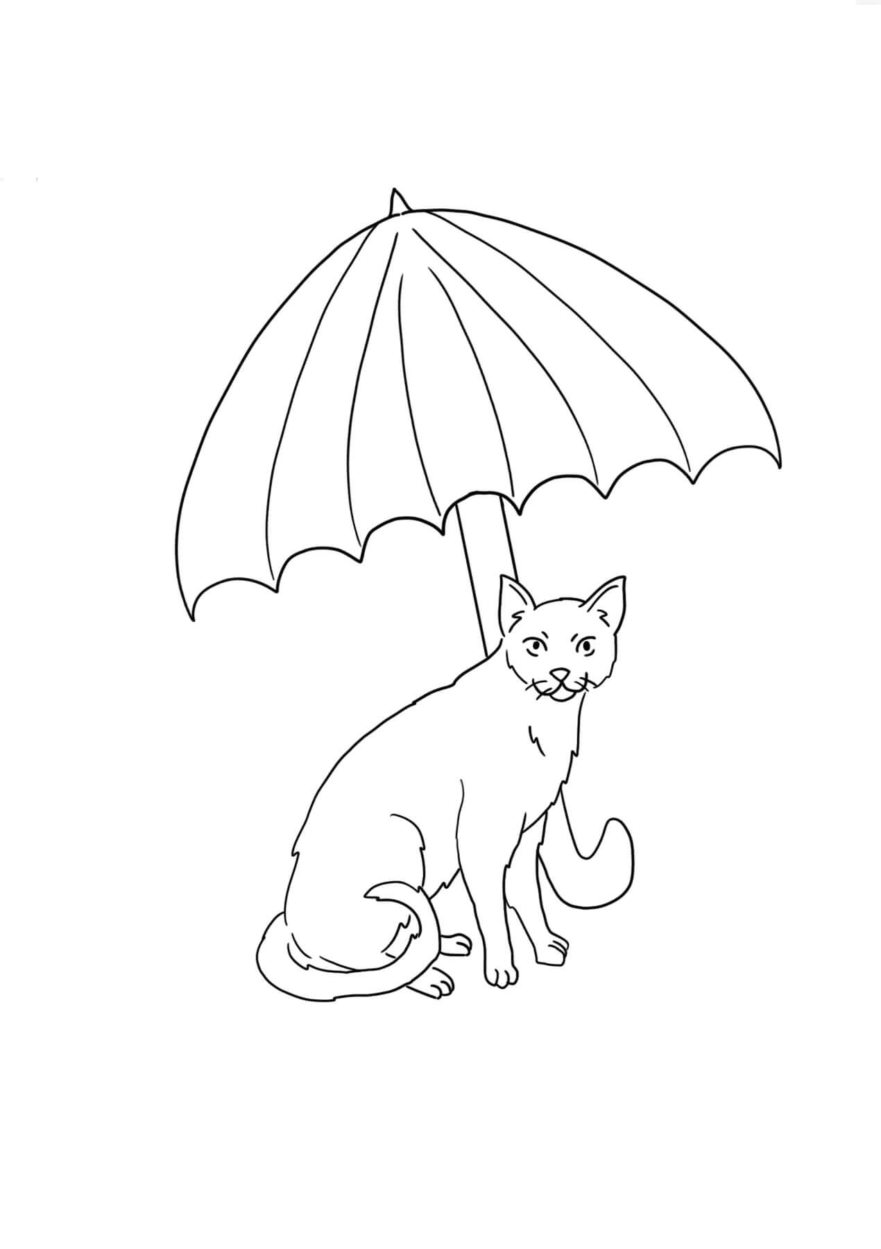 고양이가 우산을 들고 있다 coloring page
