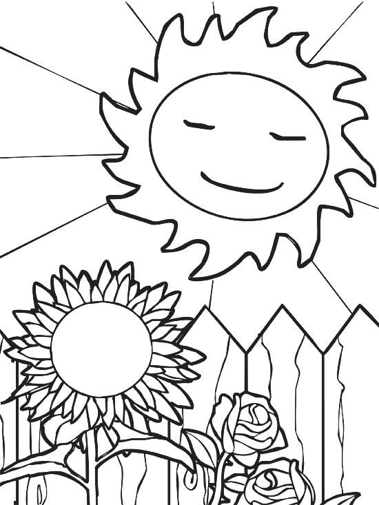 해바라기와 장미가 있는 태양