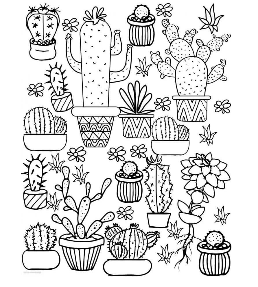 화분에 심은 선인장 정원 coloring page