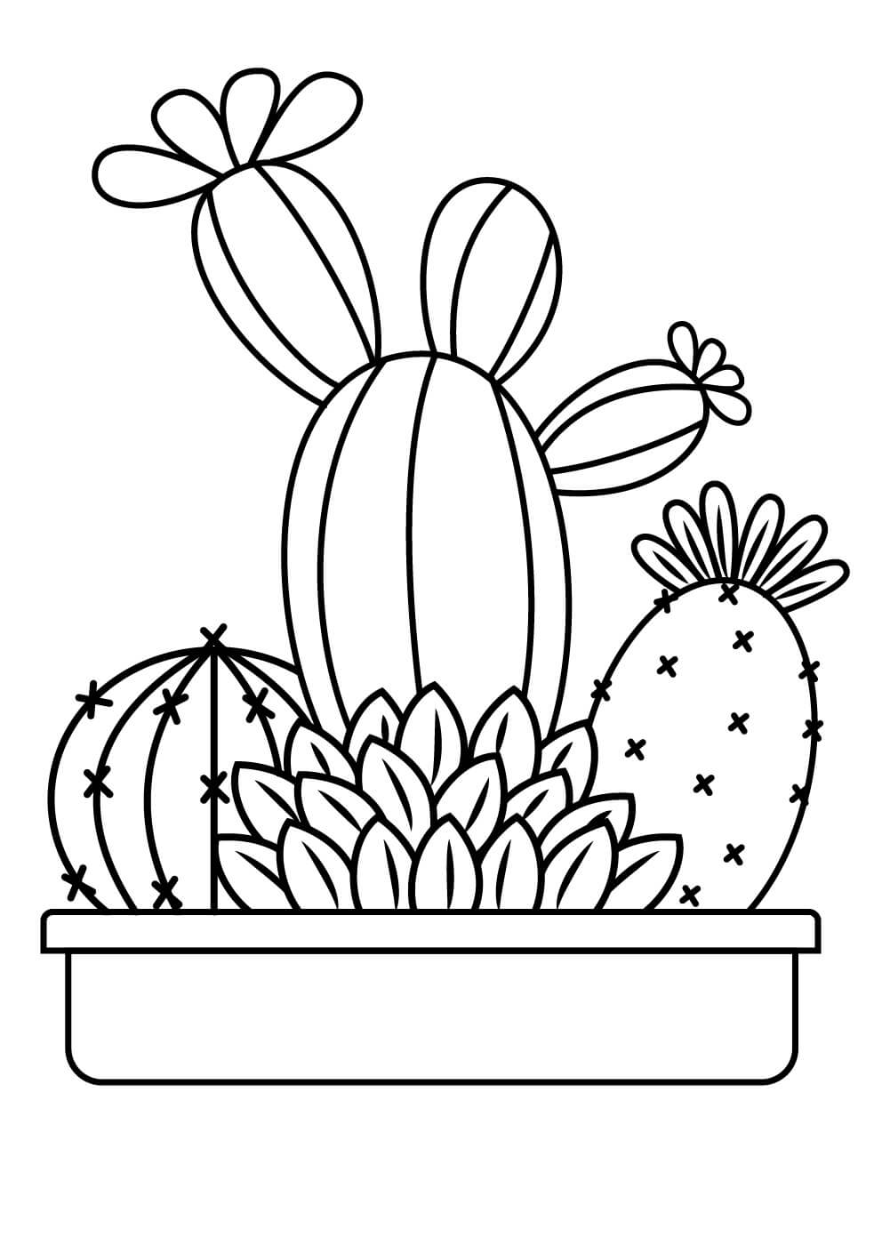 화분에 심은 선인장 coloring page