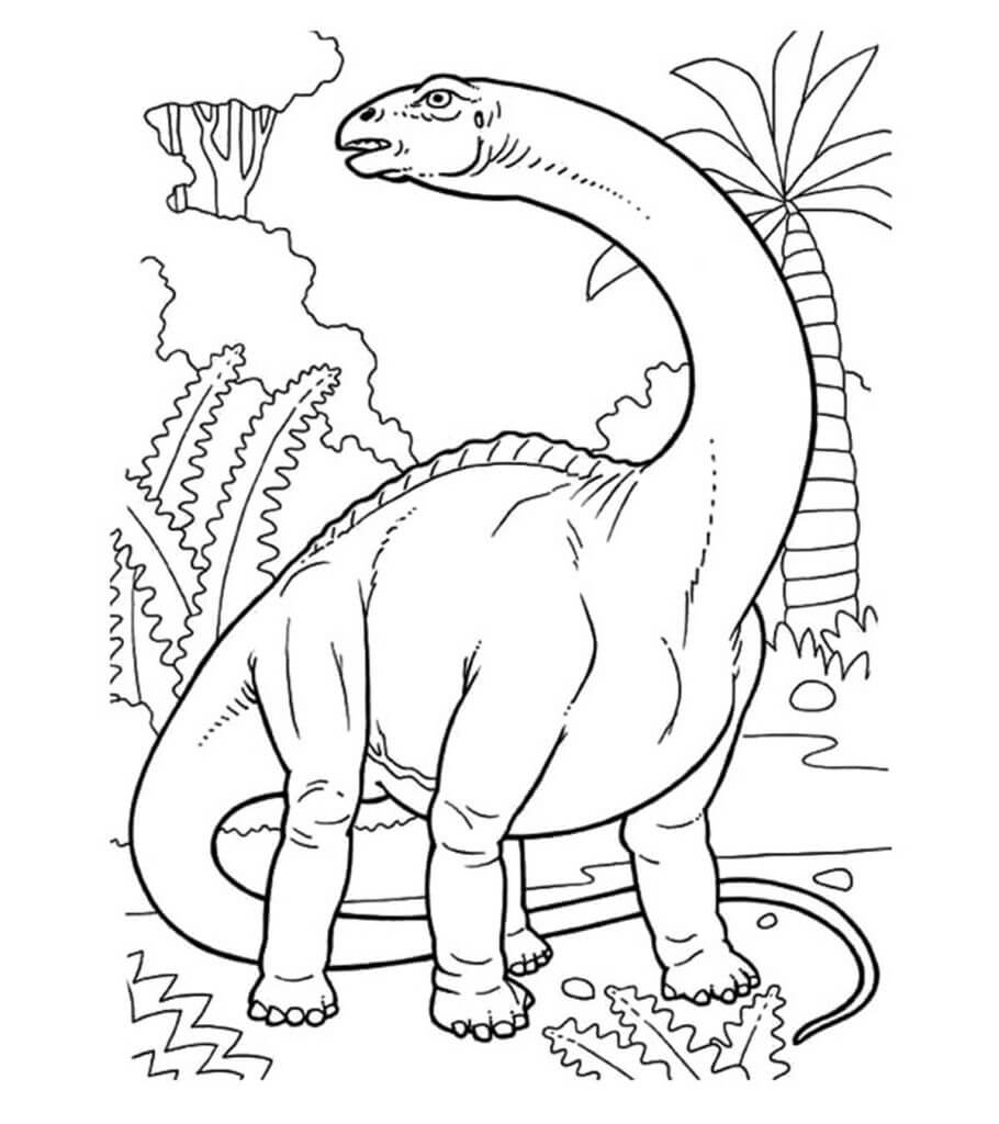 크고 긴 목 공룡 coloring page
