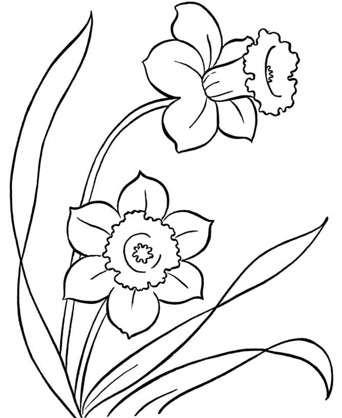 꽃 – 시트 66 coloring page