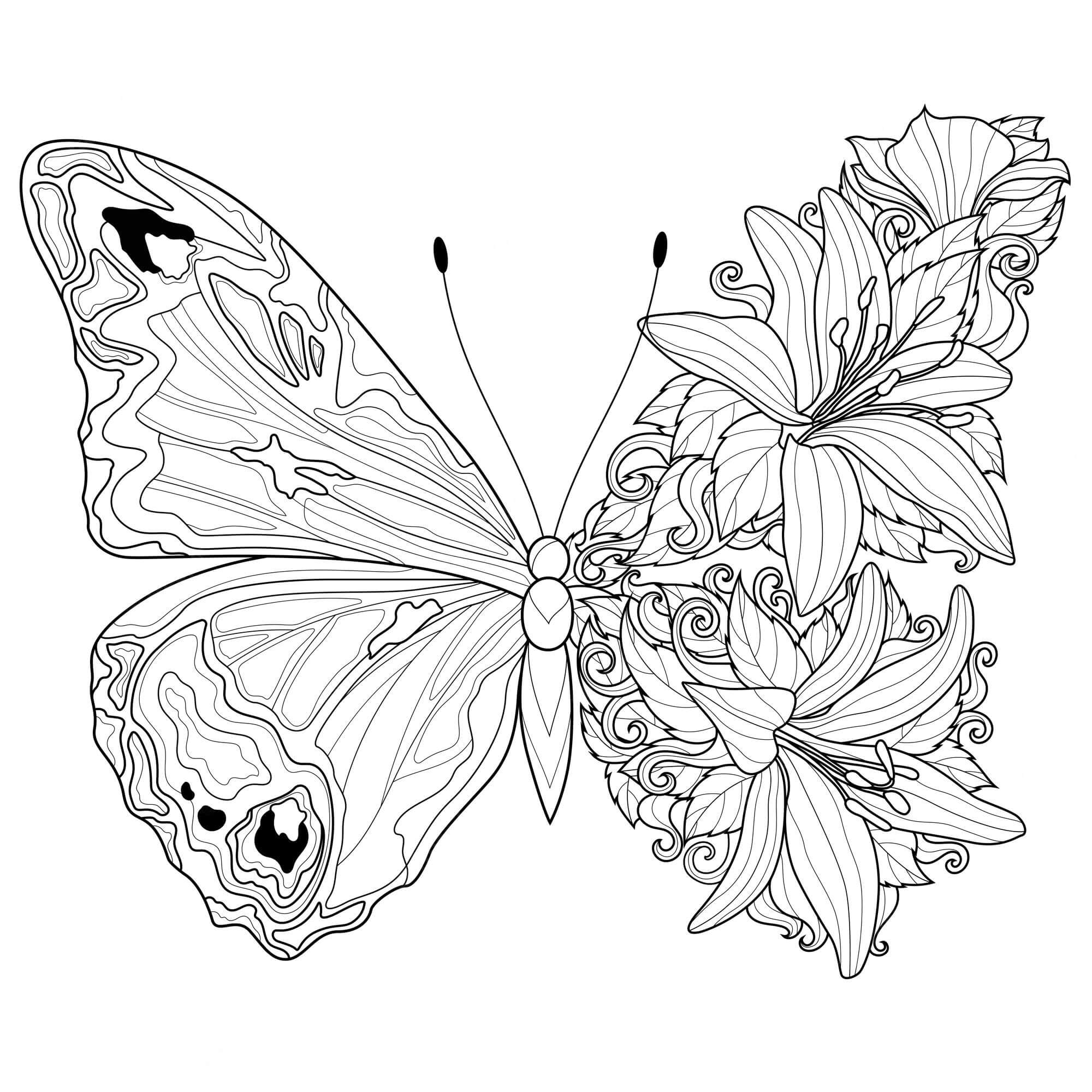 꽃과 나비 - 시트 16