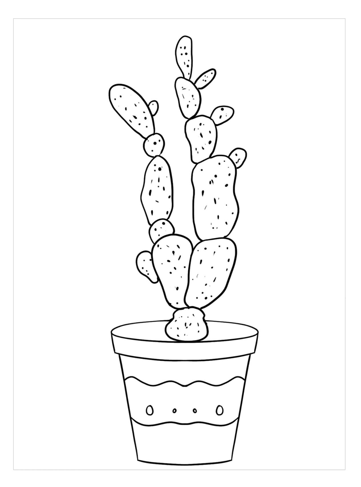 레이디 핑거 선인장 coloring page