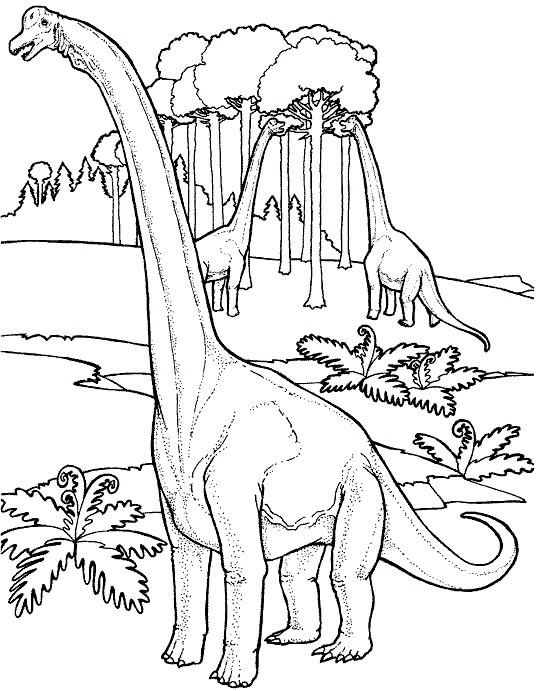 목이 긴 공룡 coloring page