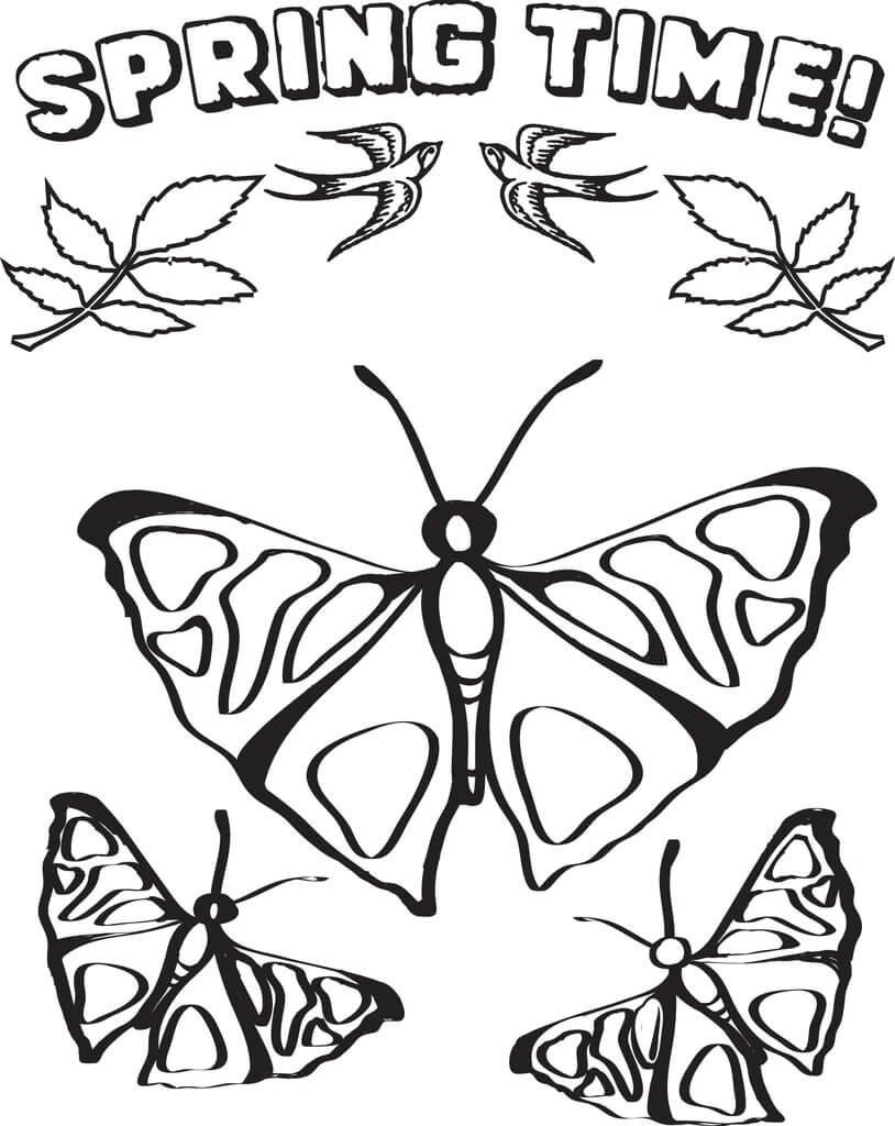 나비 그리기 봄 coloring page