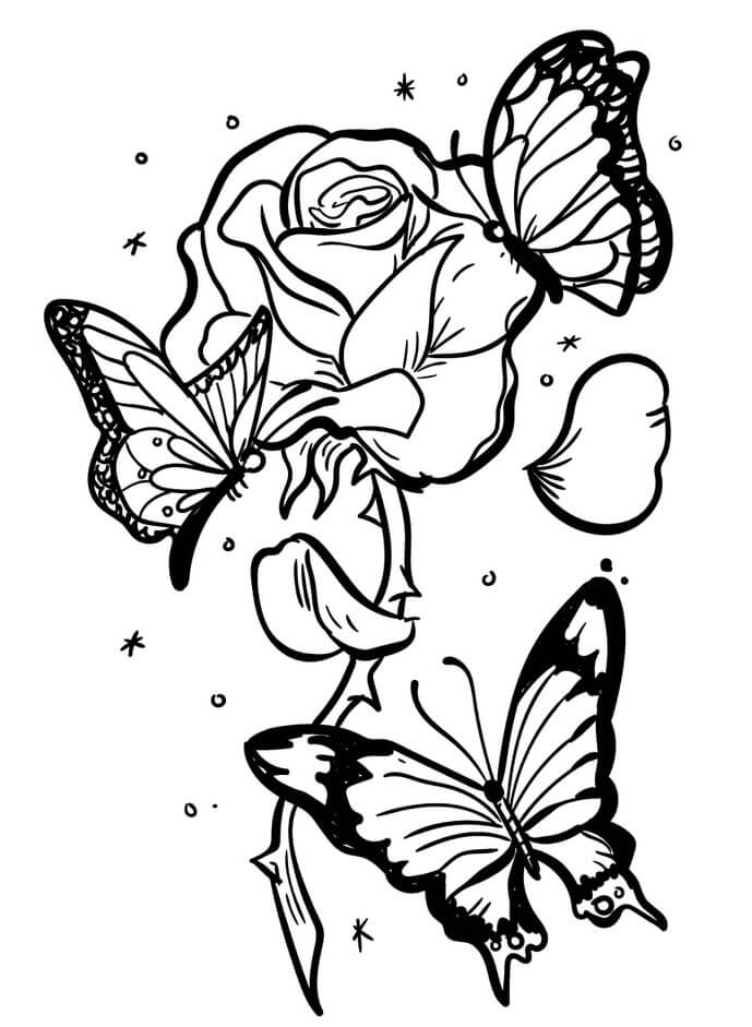 나비 세 마리와 장미