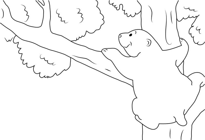 나무를 오르는 라스 coloring page