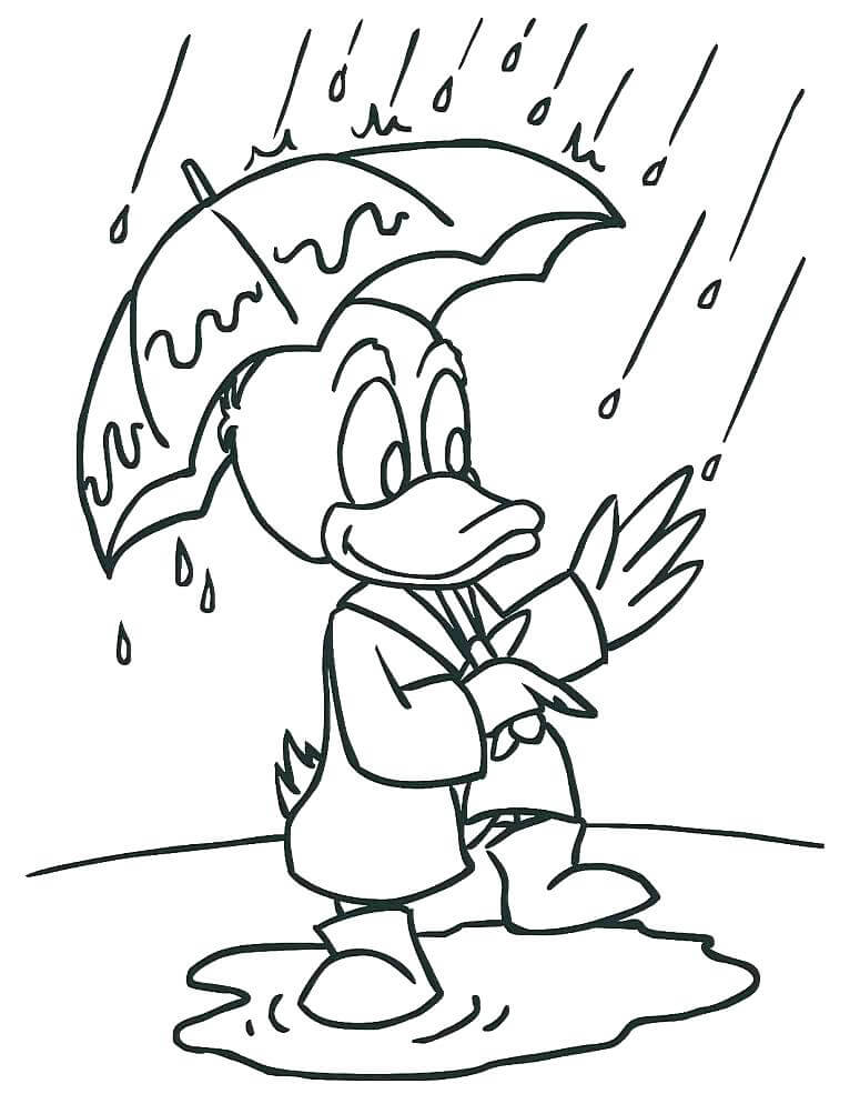 오리가 우산을 들고 있다 coloring page