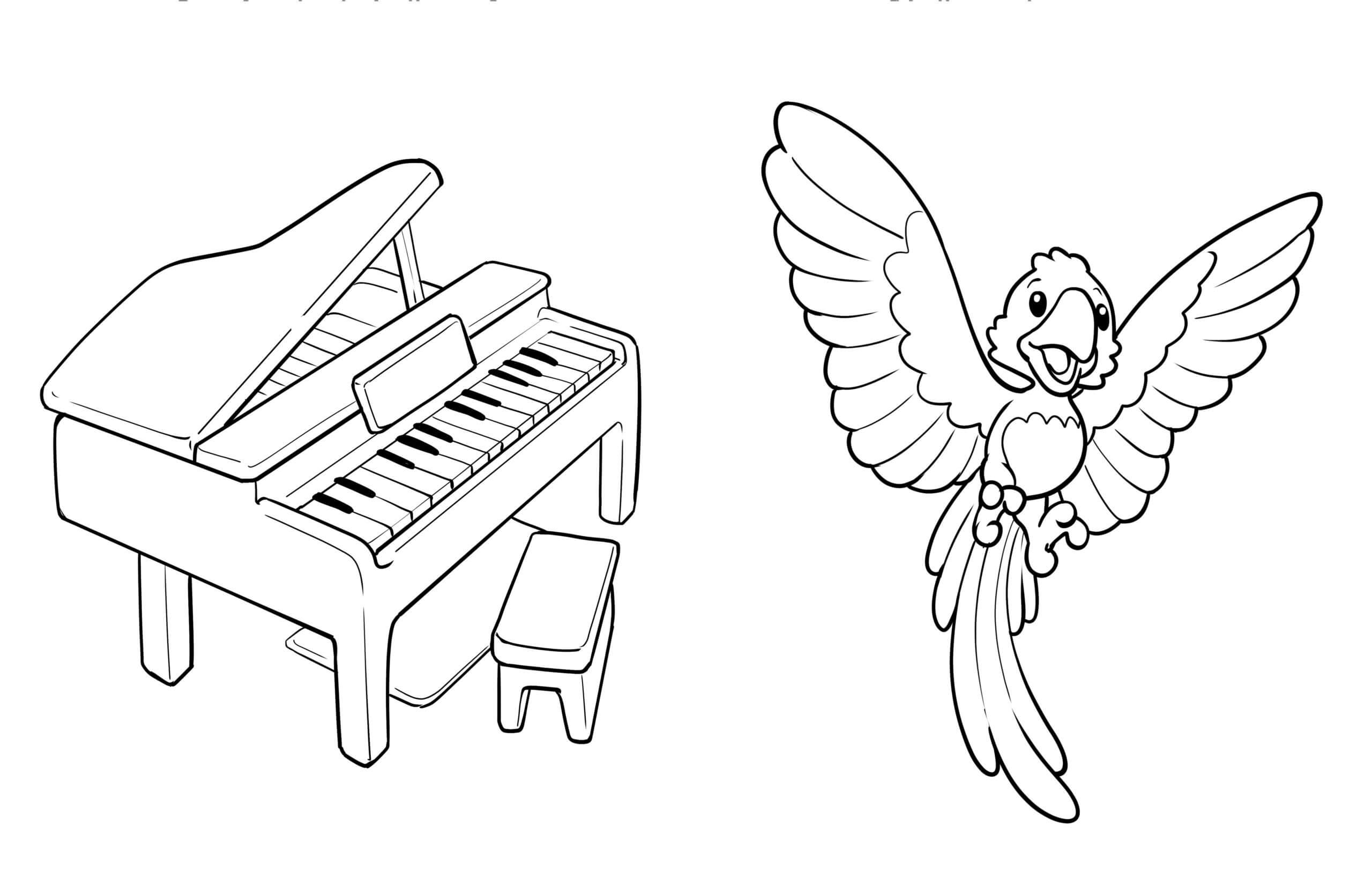 피아노와 앵무새