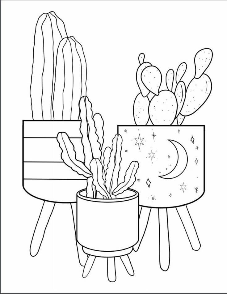 세 선인장 화분 아름다운 coloring page