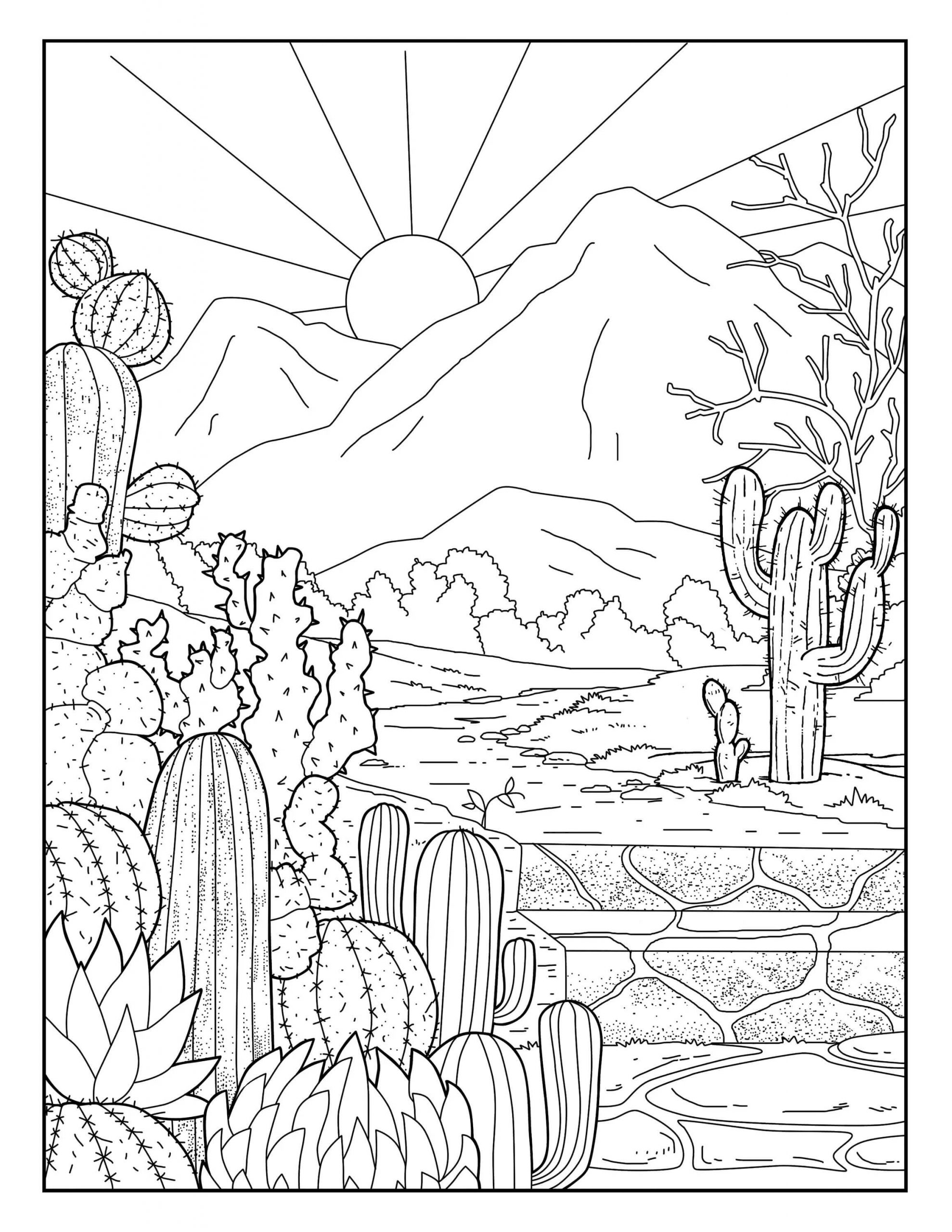 선인장 정원과 태양 coloring page