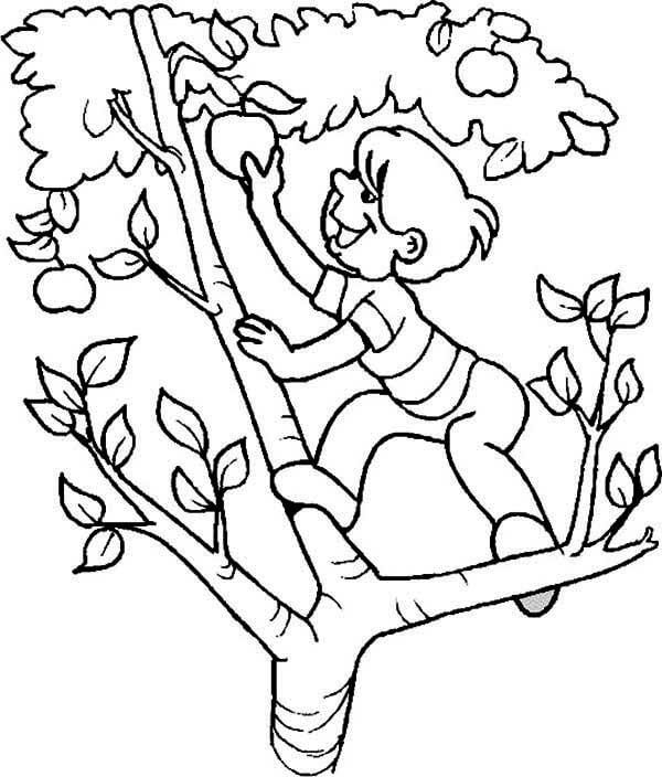 소년은 사과나무에 올라 coloring page