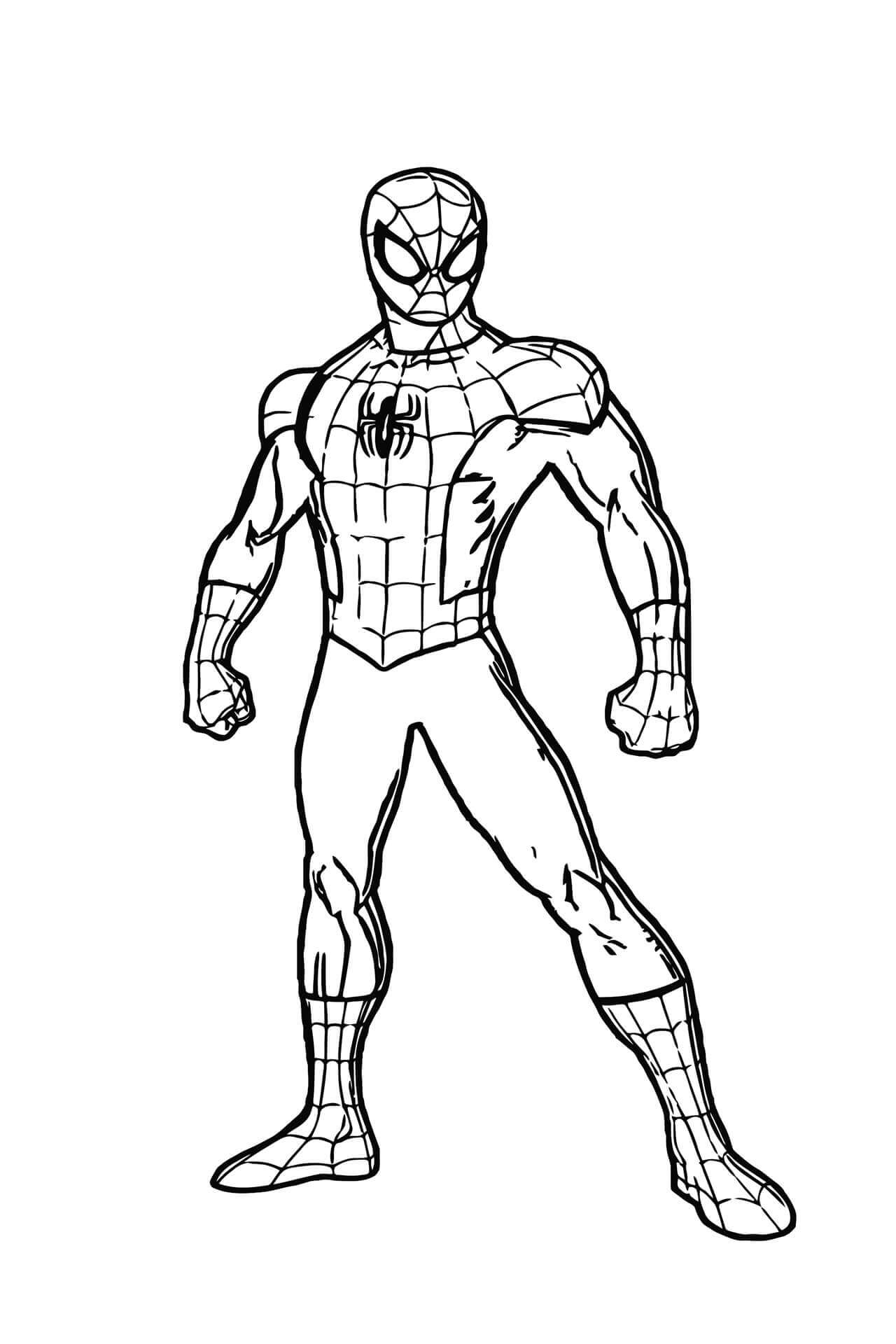 Spiderman  시트 21 coloring page