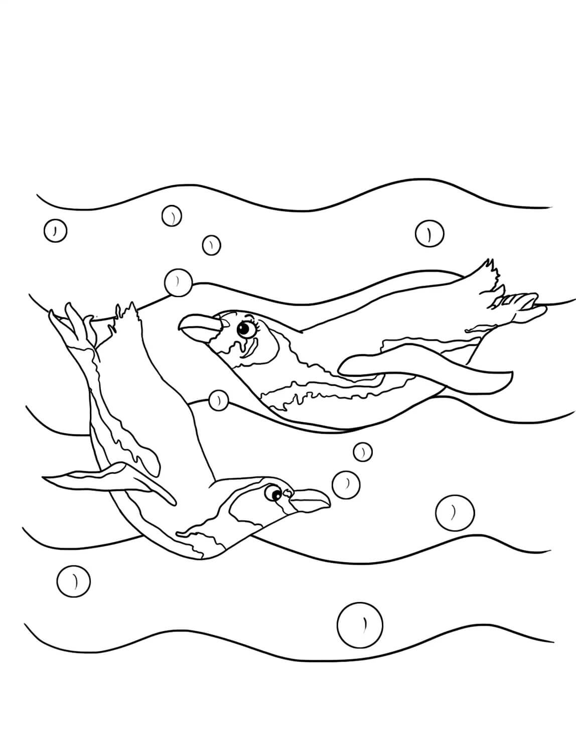 수영하는 펭귄 두마리 coloring page