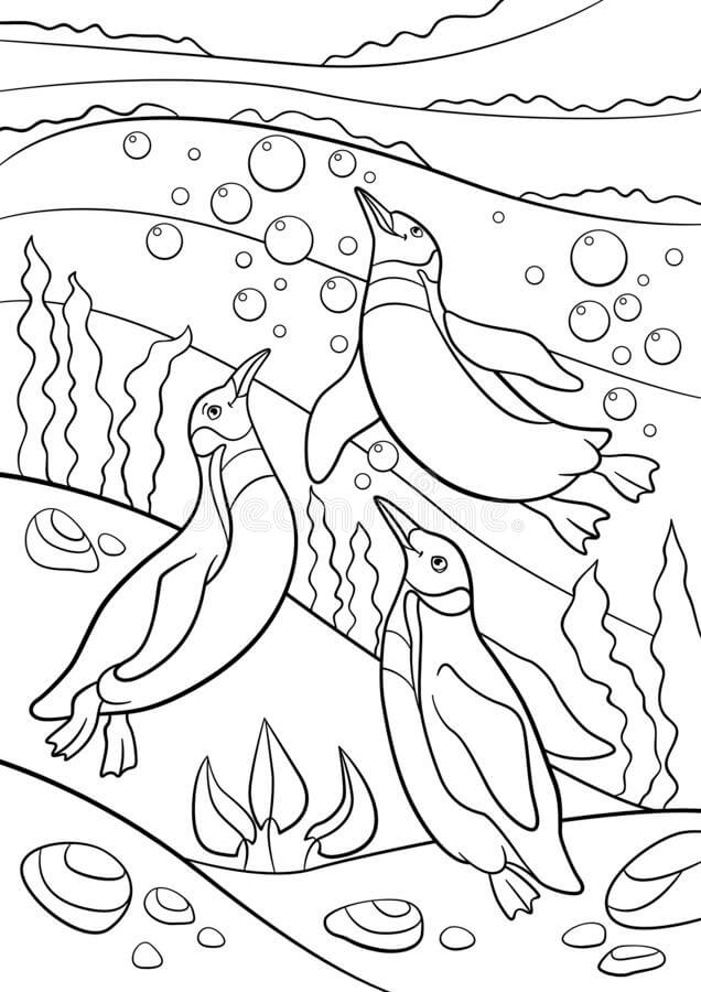 수영하는 펭귄 세 마리 coloring page