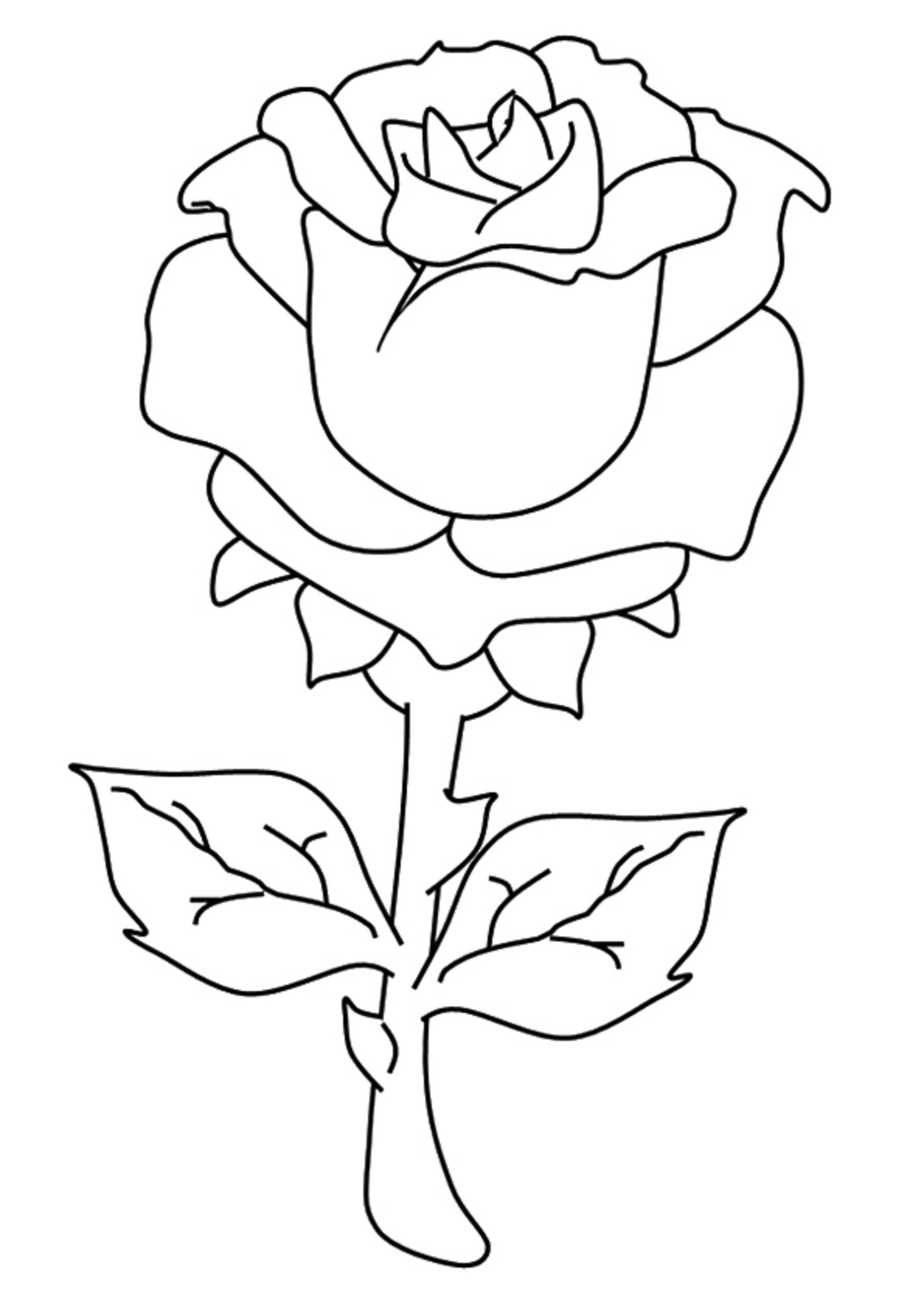 쉬운 장미 가지 coloring page