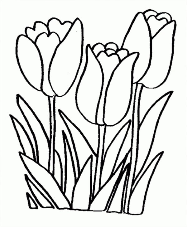 튤립 꽃 coloring page