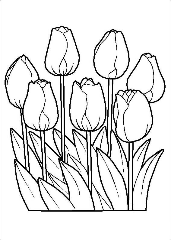 튤립 꽃 – 시트 54 coloring page