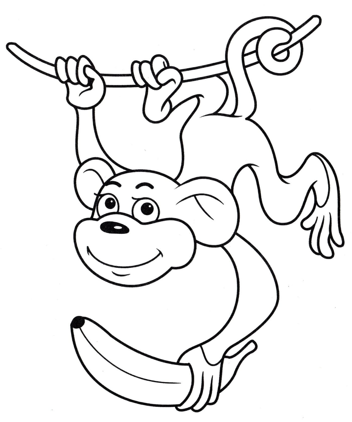 원숭이는 바나나와 등반 로프를 잡습니다.