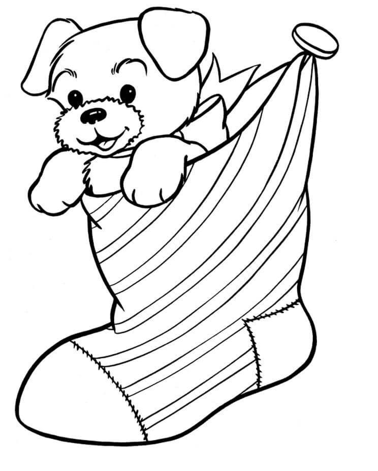 양말 속의 강아지 coloring page