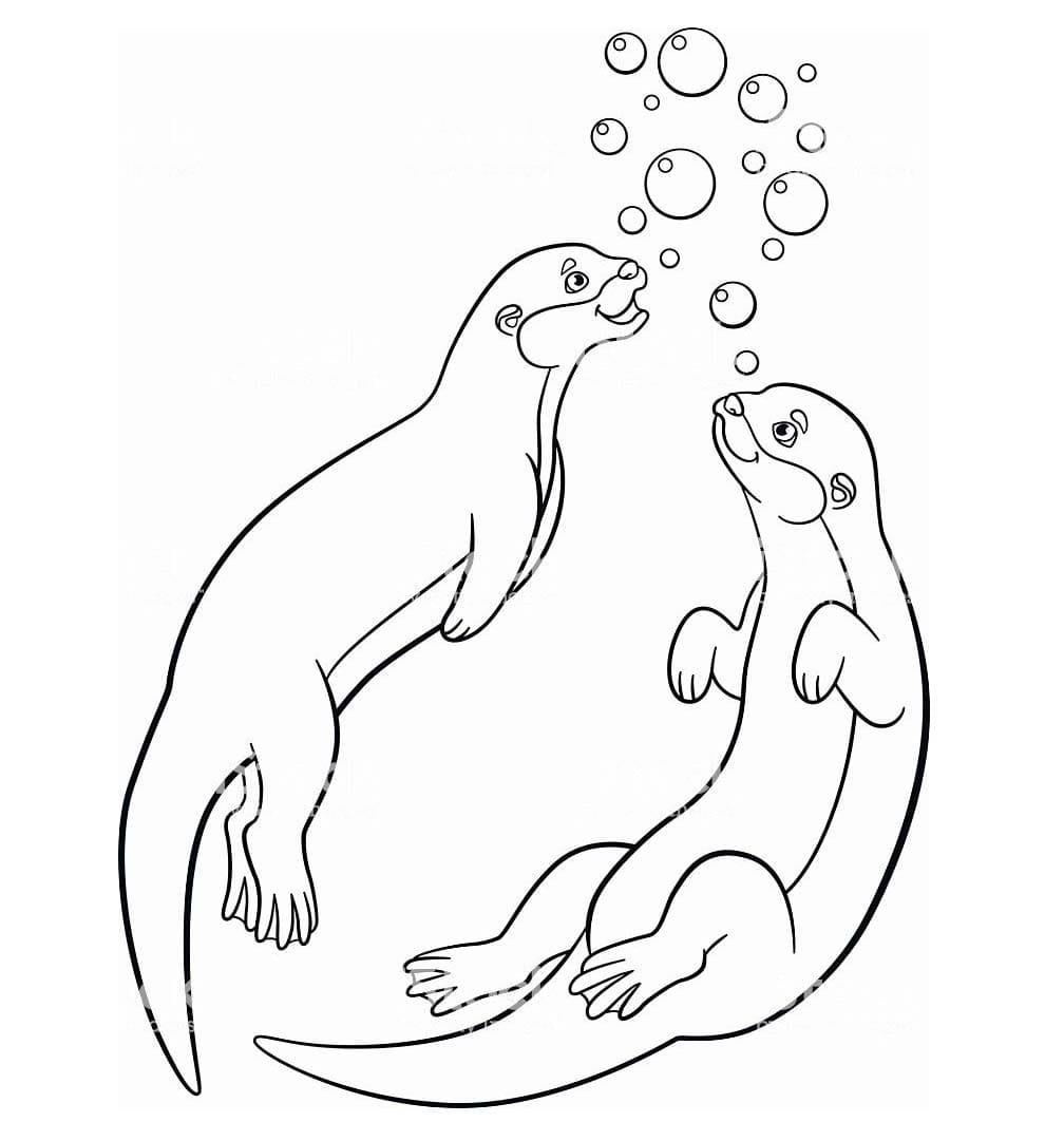 두 마리의 수달 coloring page