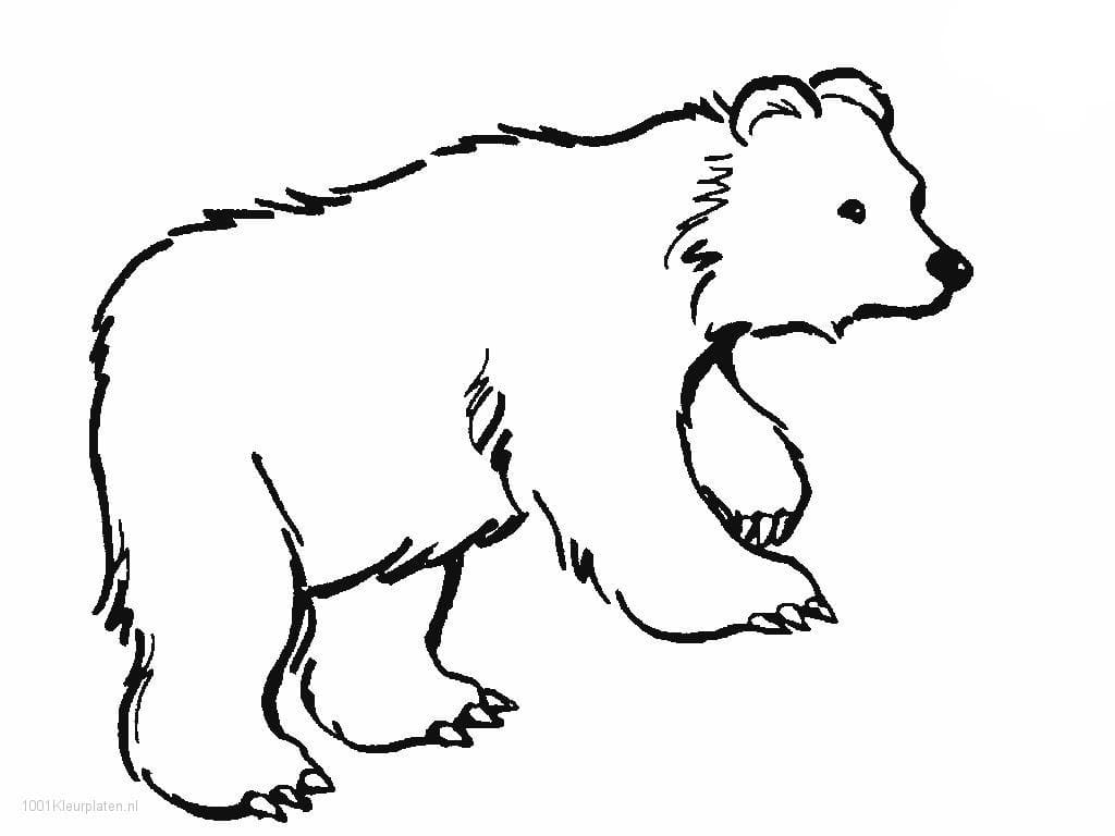 인쇄 가능한 곰 그림 coloring page