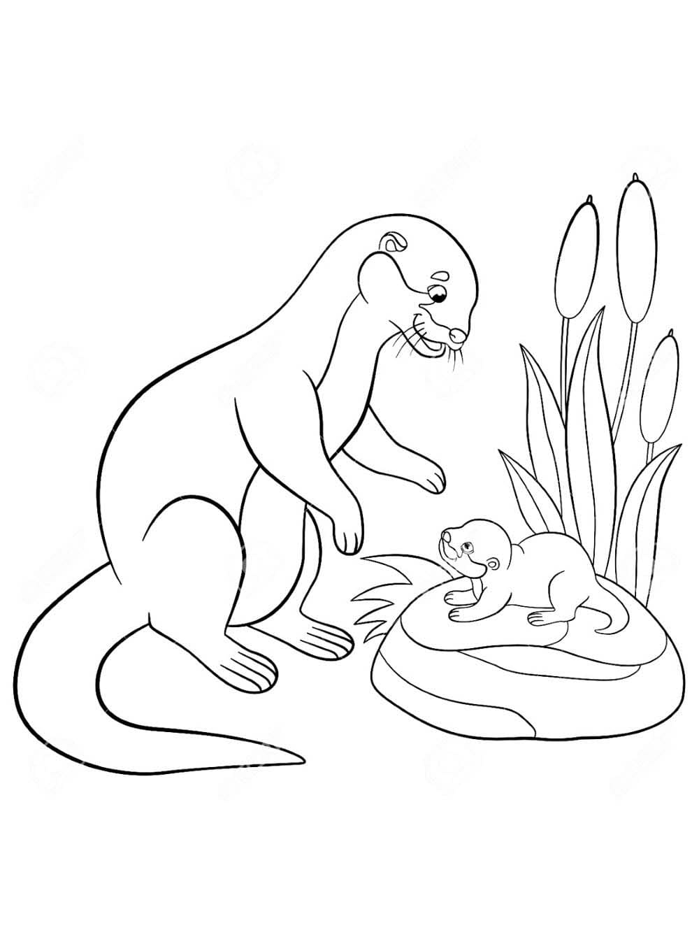 무료 두 마리 수달 이미지 coloring page