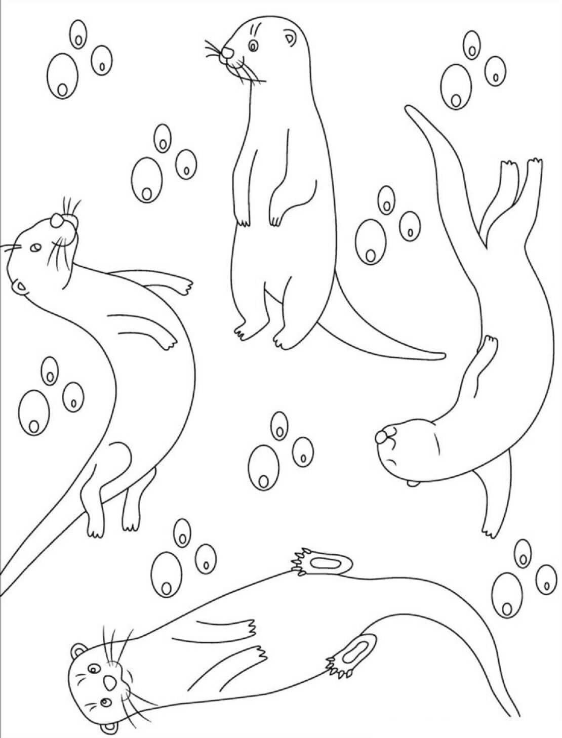 네 마리의 수달 coloring page