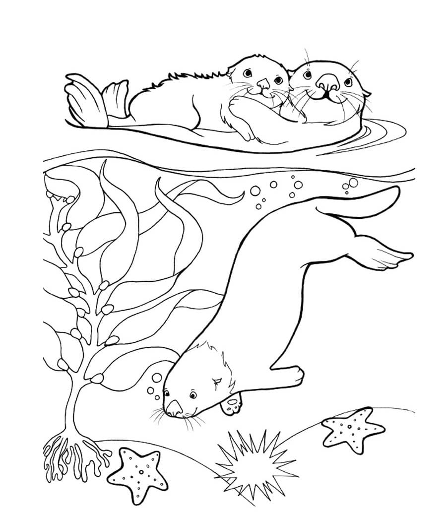 세 마리의 수달 이미지 coloring page