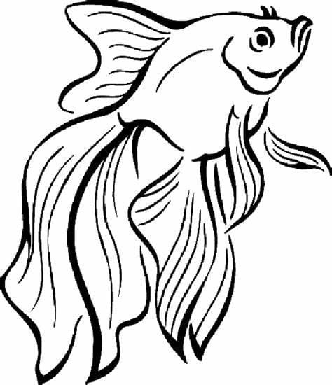 아름다운 물고기 coloring page