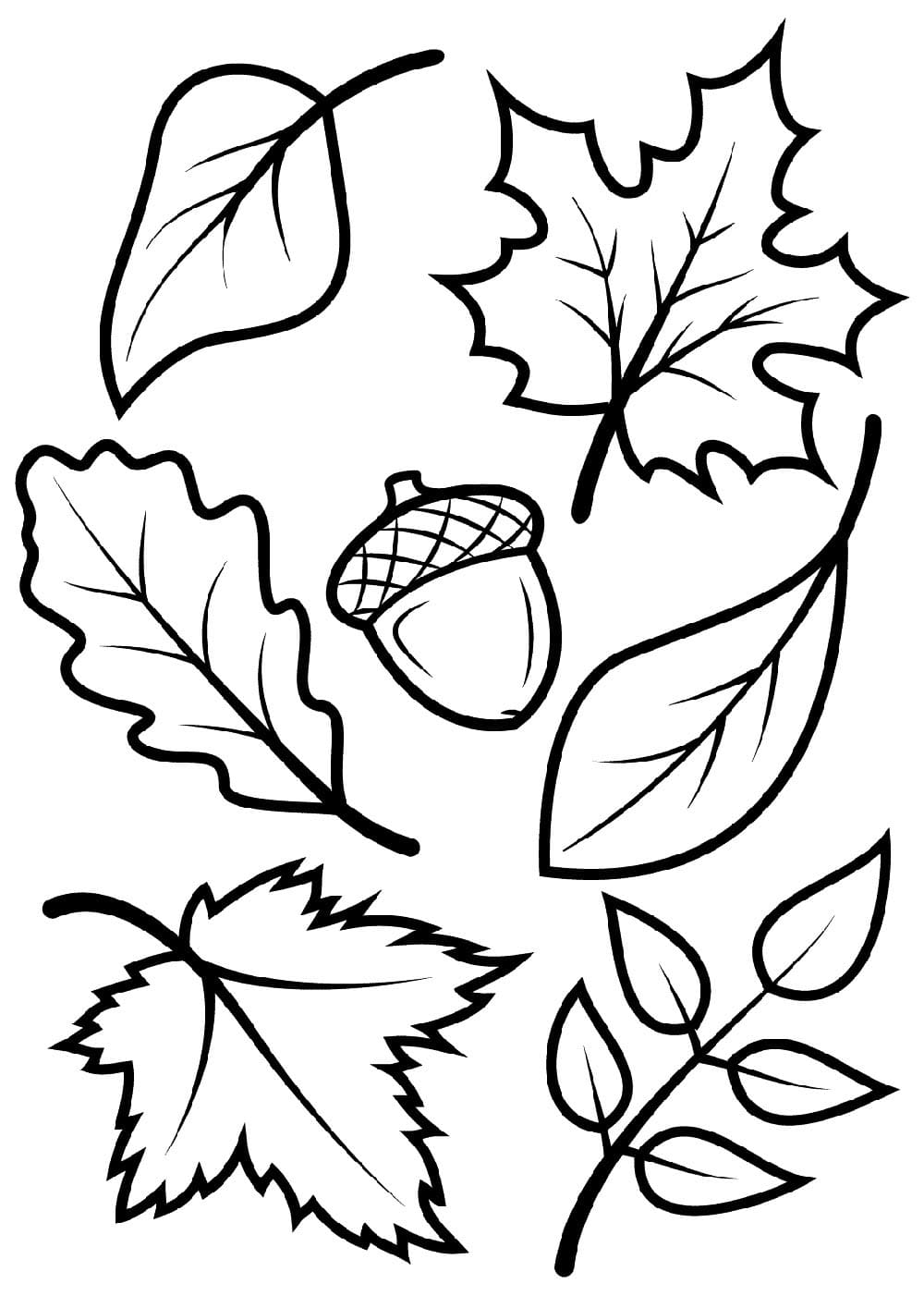 단순한 가을 이미지 coloring page
