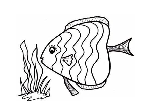 어린이를 위한 무료 생선 coloring page