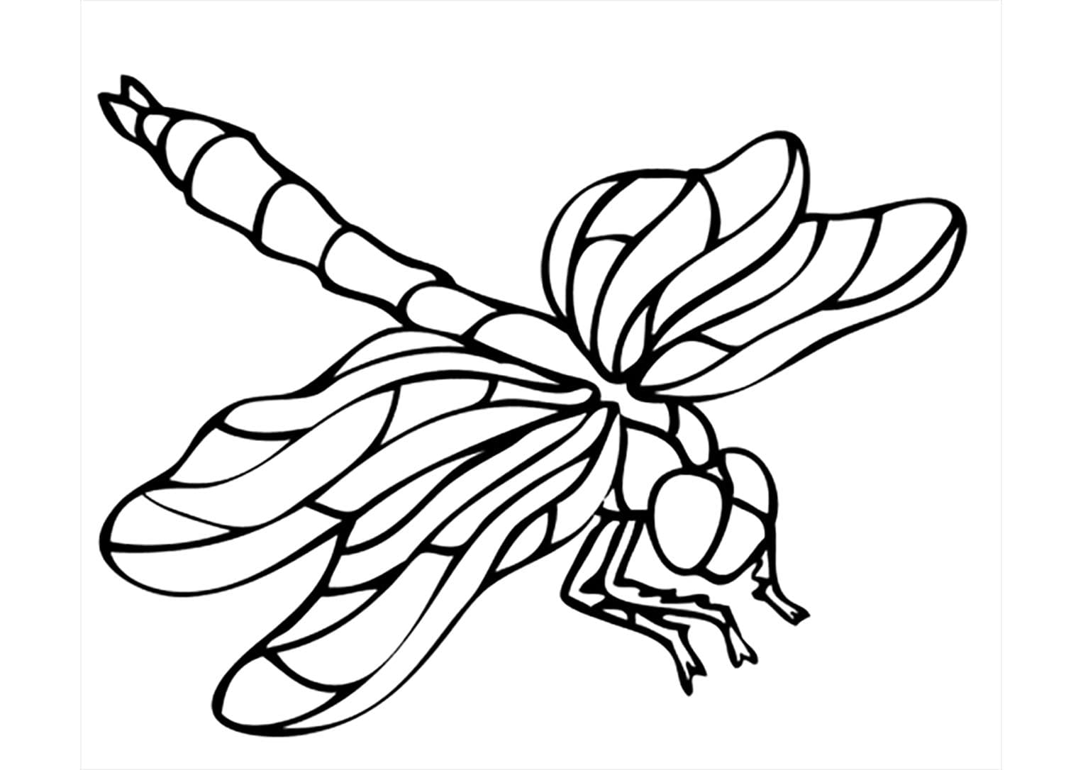 곤충 이미지 인쇄 coloring page