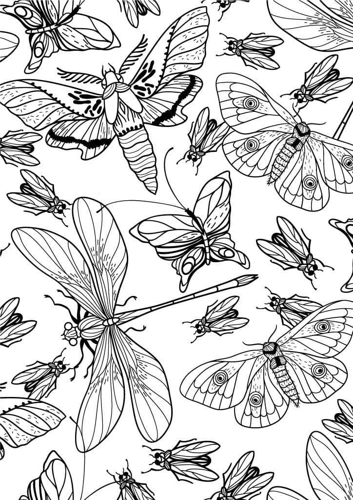 곤충 JPG coloring page