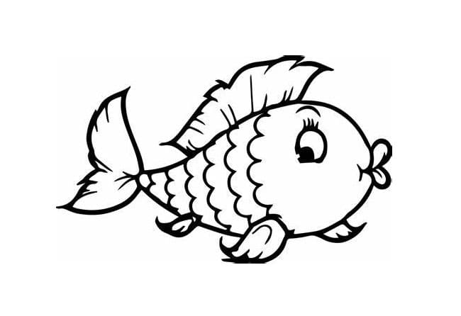 귀여운 물고기 이미지 coloring page